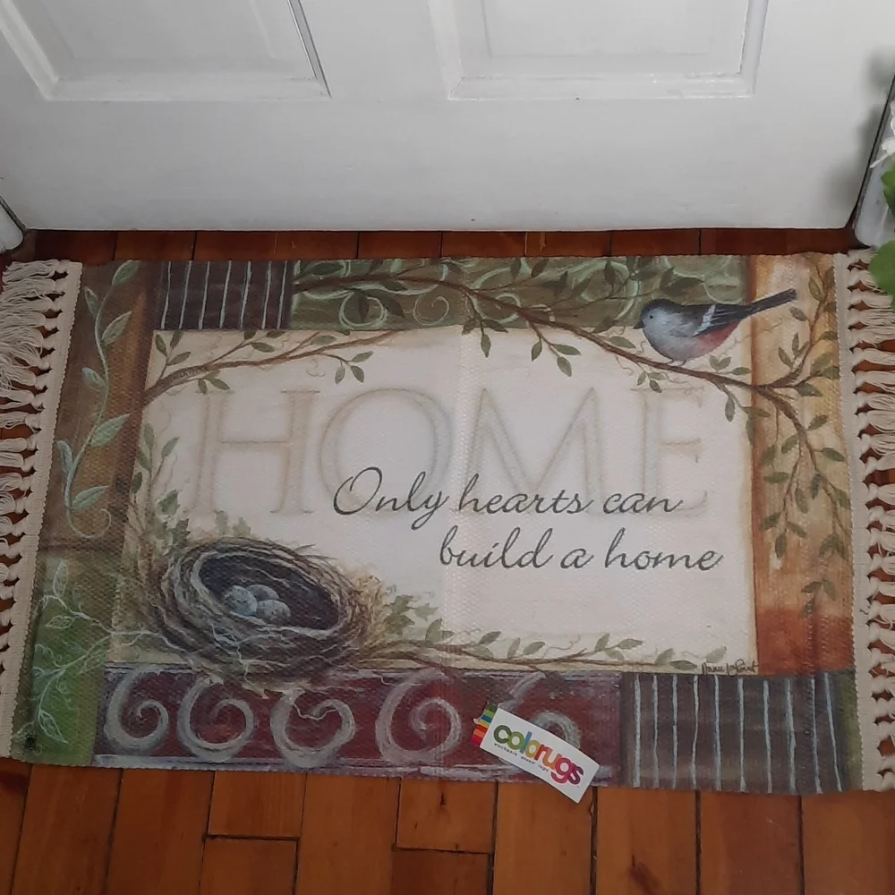 Washable Accent Rug Doormat Home House Kitchen